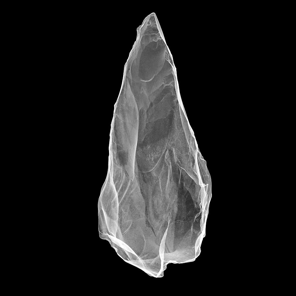 Neandertal® Neandertal®